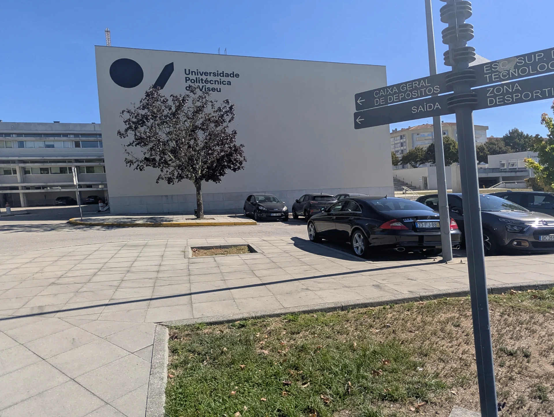 Upv1