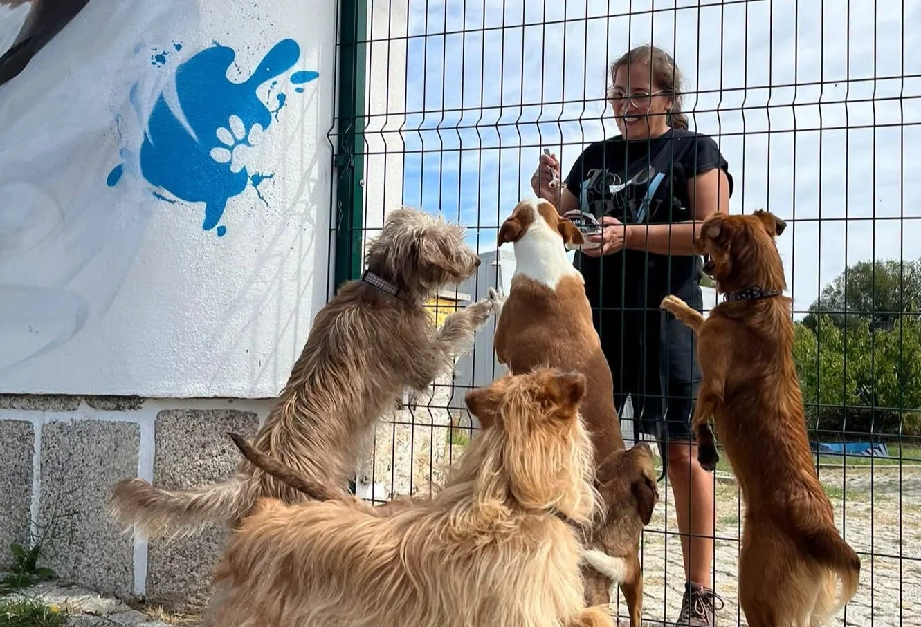 Animais Guarda