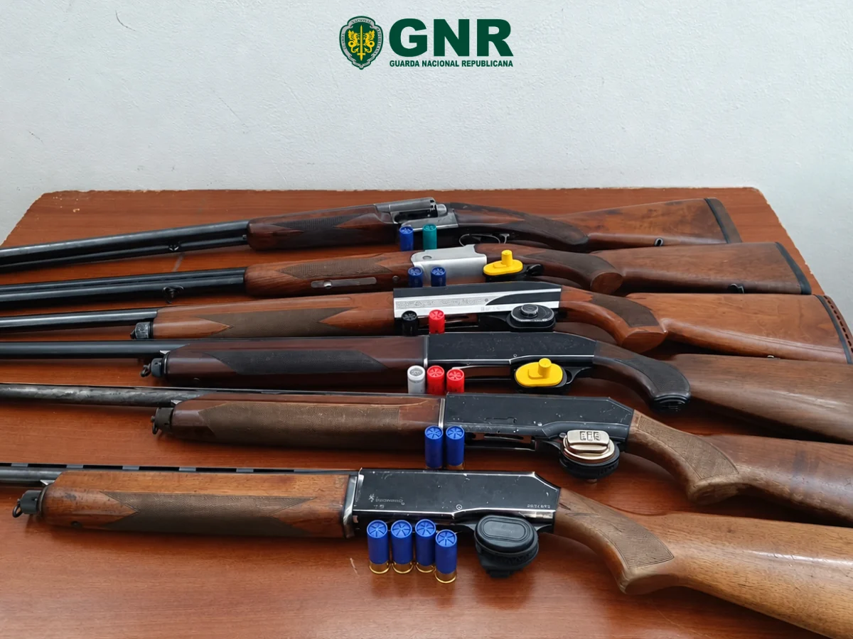 Armamar Gnr Viseu Apreensão Material