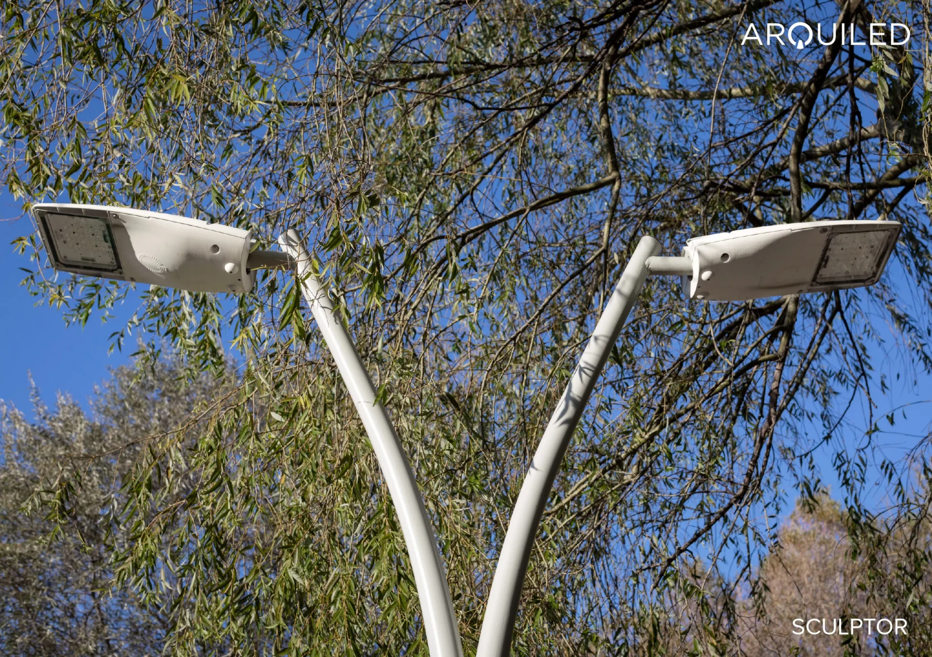 Arquiled Projeto Sculptor