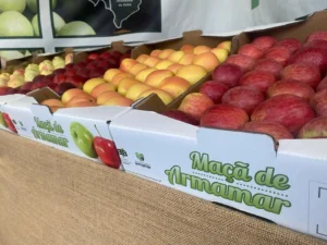 Caixas De Maçã