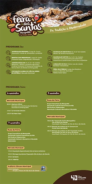 Dv revista site fs26