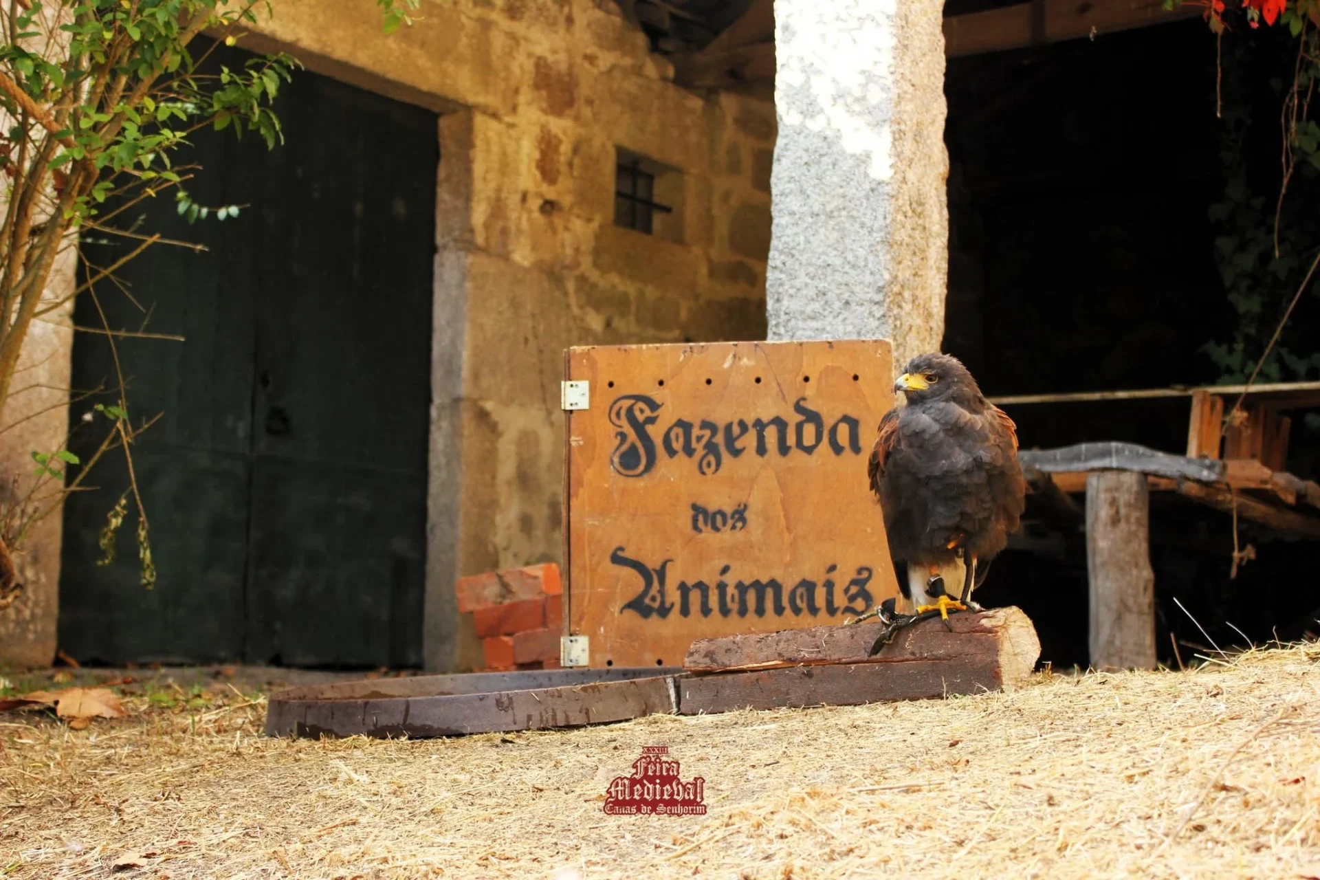 Feira Medieval Canas De Senhorim2