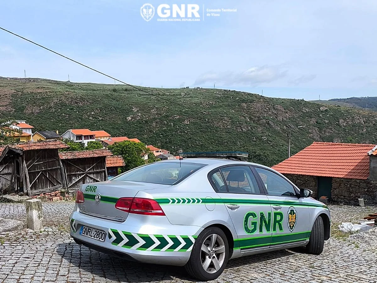 Gnr Local Crime