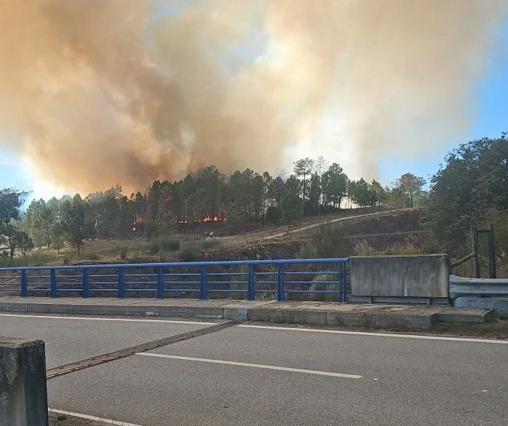 Incêndio Tavares Mangualde