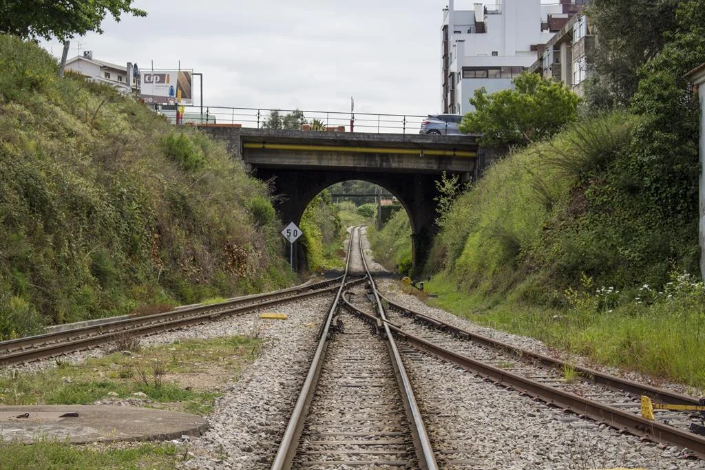 Linha Ferroviária Do Vouga