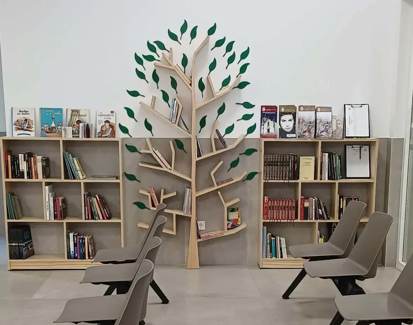 Livros Centro De Sa&uacute;de Carregal Do Sal