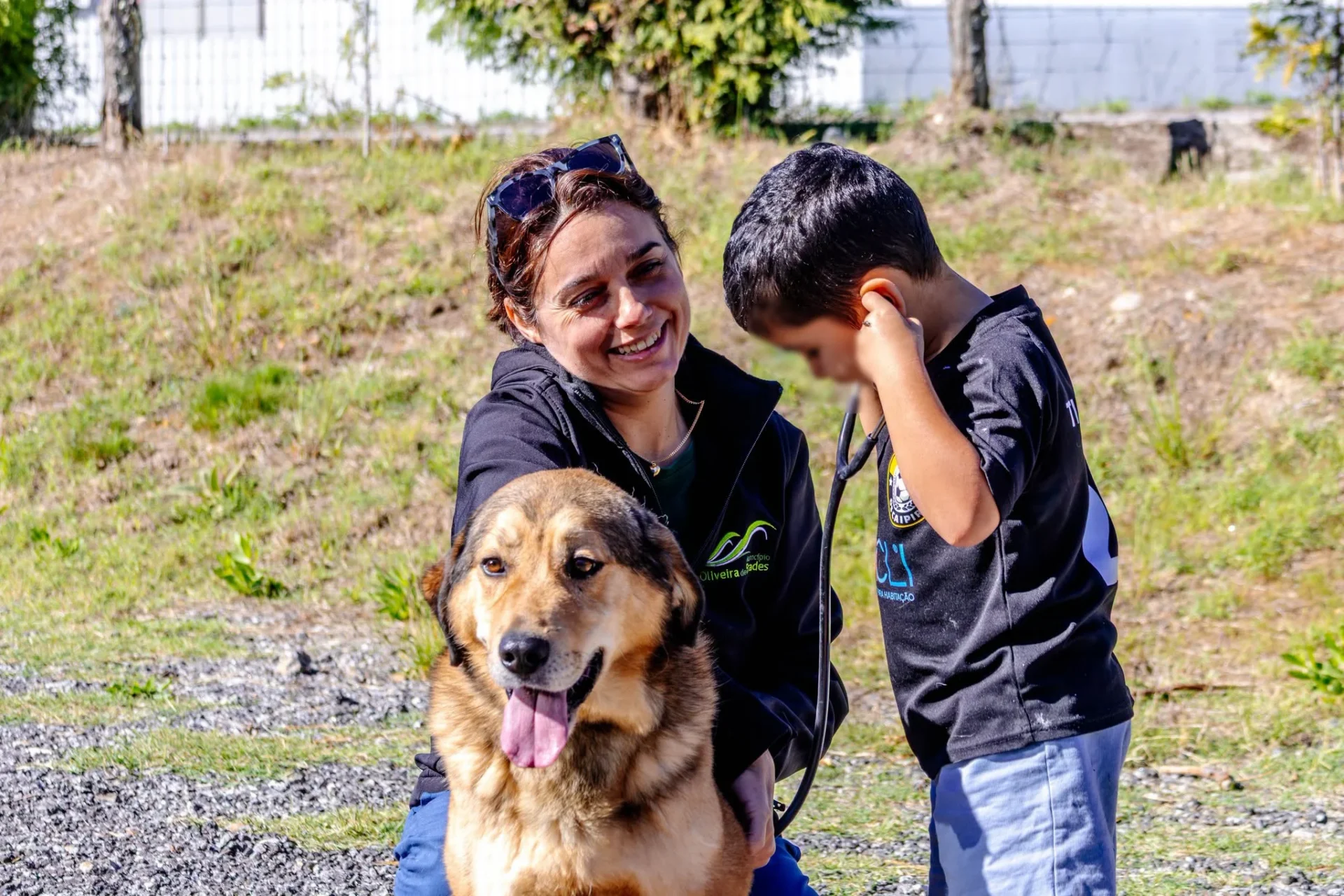 Oliveira De Frades Animais