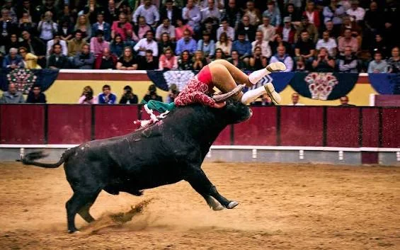 Tauromaquia